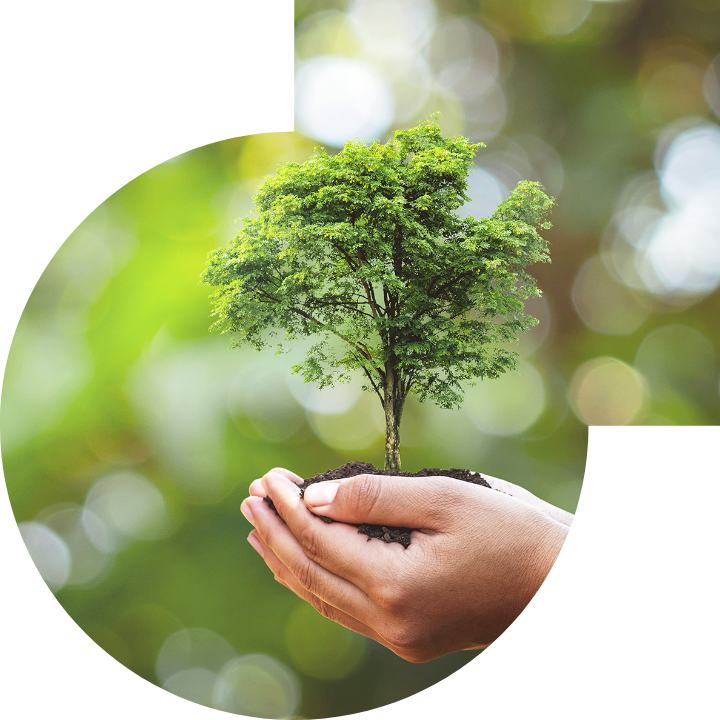 关怀人类、文化、环境与社会